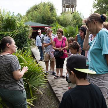 Visite guidée du JDP-13