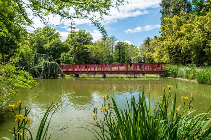 Jardin des Plantes de Saint-Cyprien