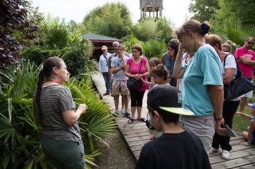 Visite guidée du JDP-13